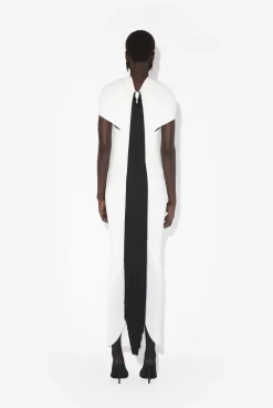 The Fringed Dress