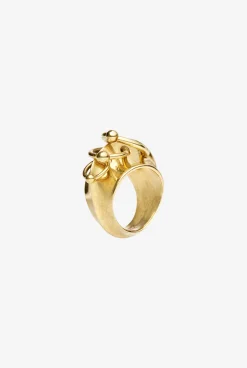 The Gold-Tone Piercing Ring